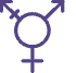 trans-icono