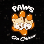 paws2